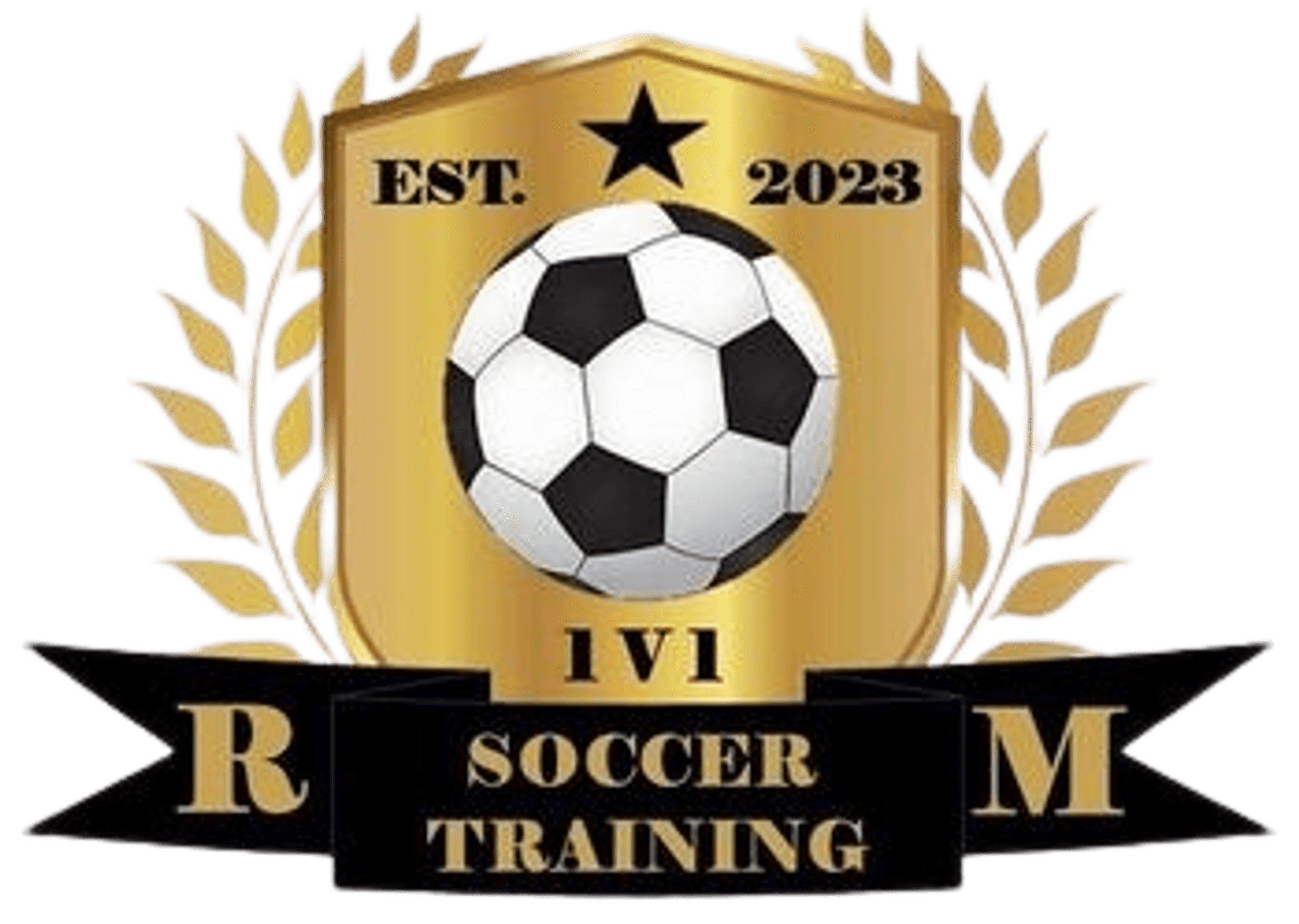 RM Soccer Training | undefined Logo